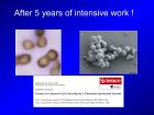 Diapositive37