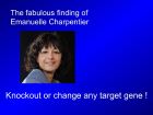 Diapositive40