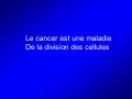 Diapositive23