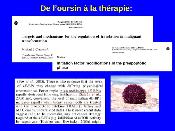 trois_27