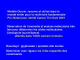 Precedent