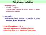 Diapositive17