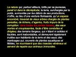 Diapositive15