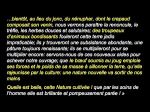 Diapositive18
