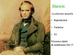 Diapositive21