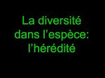 Diapositive38
