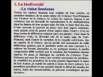 Diapositive08