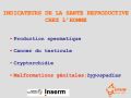 Diapositive26