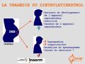 Diapositive32
