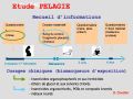 Diapositive45