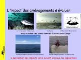 Paillard_2_17