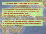 Diapositive11