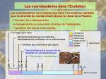 Diapositive13
