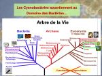 Diapositive04