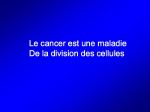 Diapositive29