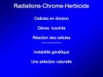 Diapositive35