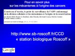 Diapositive42