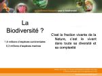 Diapositive02