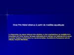 Diapositive20