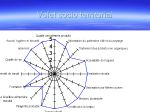 Diapositive17