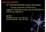 Sizun FÃ©vrier 2011_Page_21