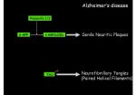 Sizun FÃ©vrier 2011_Page_45