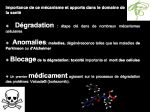 Diapositive13