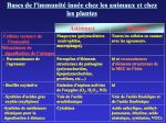 Diapositive31