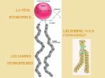Diapositive17