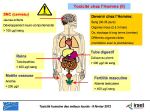 Diapositive18