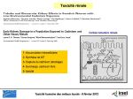 Diapositive26