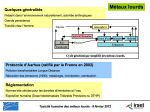 Diapositive07