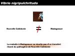 Diapositive12