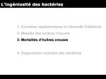 Diapositive20