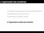 Diapositive24