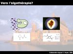 Diapositive34
