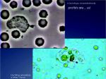 Cafe_Sciences_Colomban_20