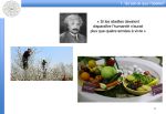 Diapositive10