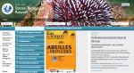 media Roscoff