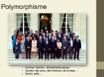 Diapositive9