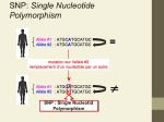 Diapositive14