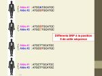 Diapositive15