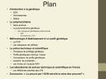 Diapositive2