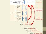 Diapositive22
