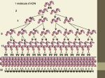 Diapositive23