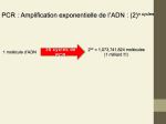 Diapositive24