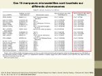 Diapositive31