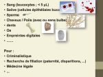 Diapositive36