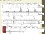 Diapositive39