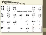 Diapositive4